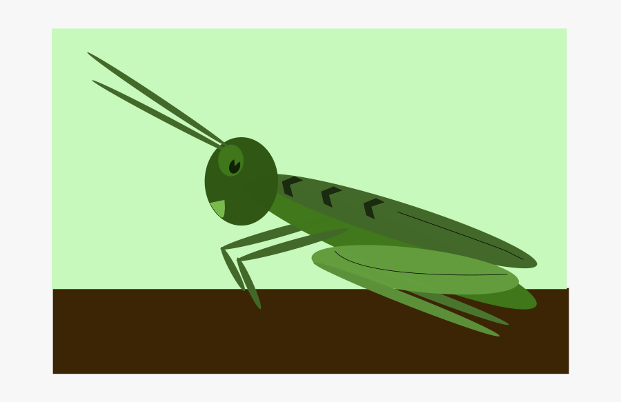 Grasshopper - Hoe Teken Je Een Sprinkhaan, Transparent Clipart