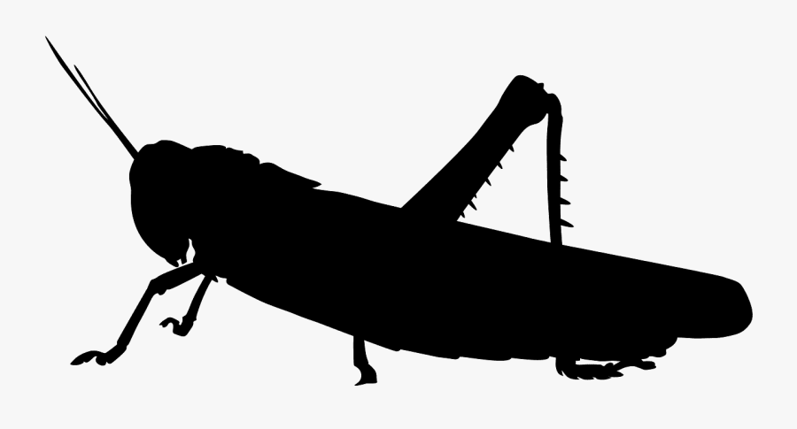 Silueta Saltamontes, Transparent Clipart