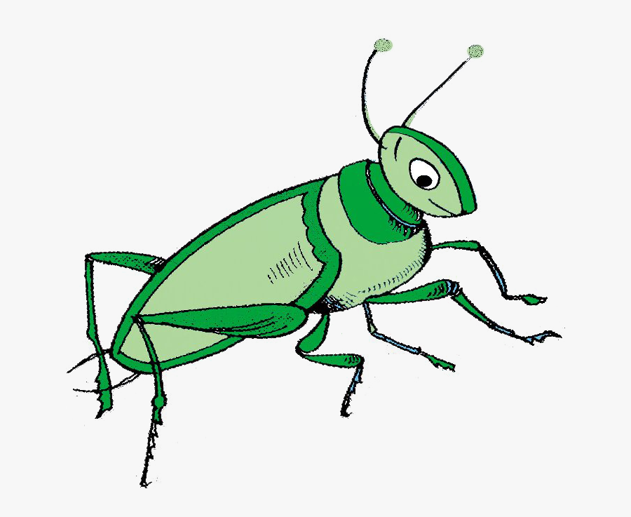 Transparent Grasshopper Png - Grasshopper, Transparent Clipart