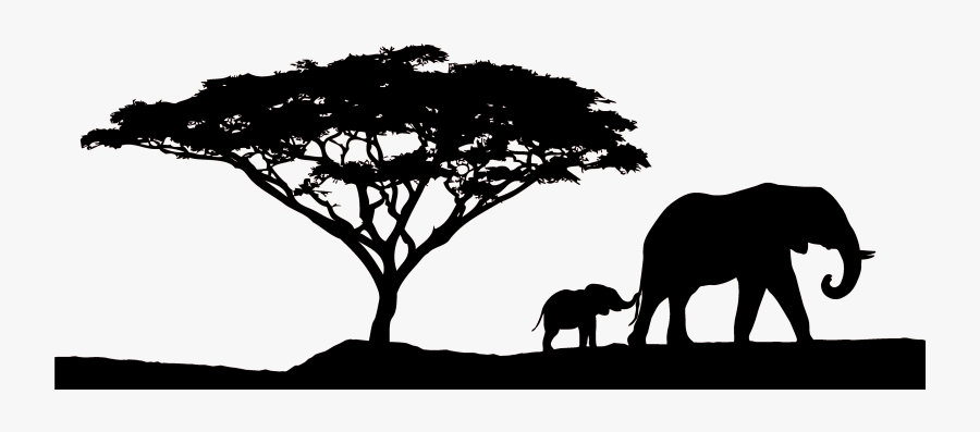 African Sunset Safari - Acacia Tree 3d Model, Transparent Clipart