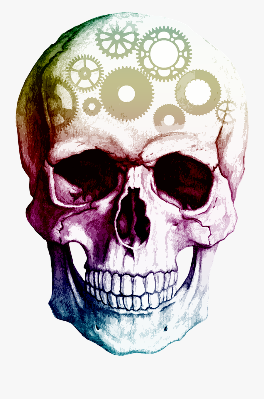 Transparent Background Skull Png, Transparent Clipart