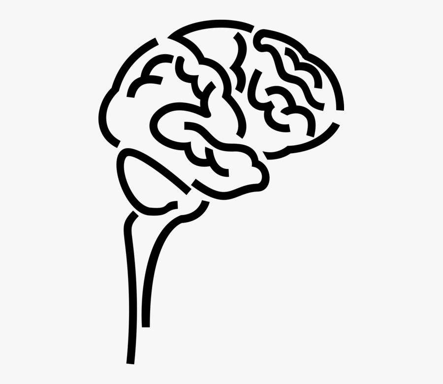 Human Image Illustration Of - Cerebro Png, Transparent Clipart