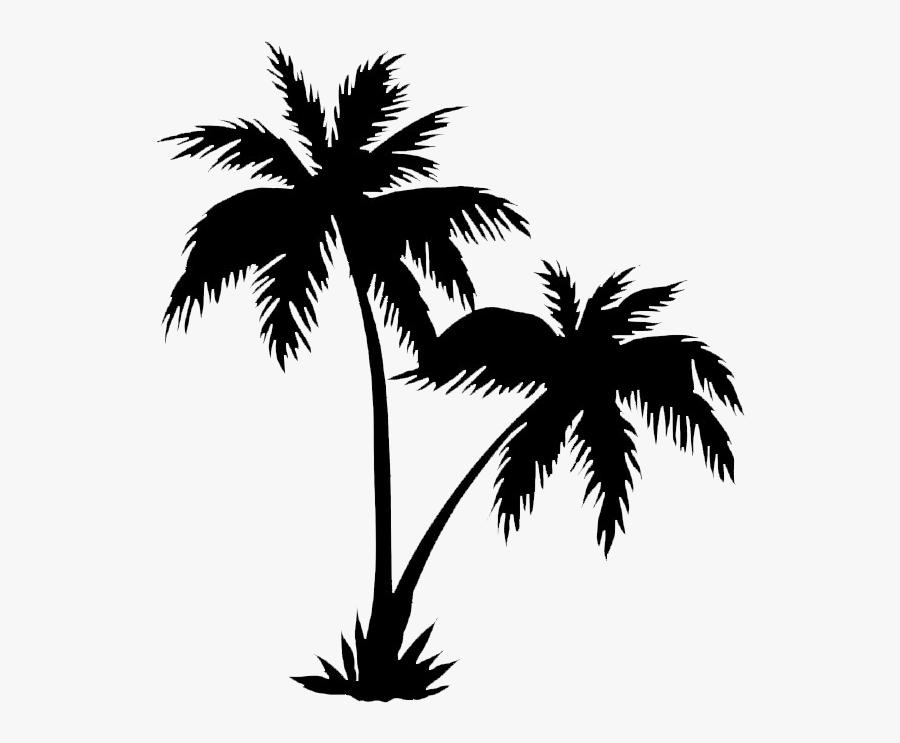 Coconut Tree Vector Png, Transparent Clipart