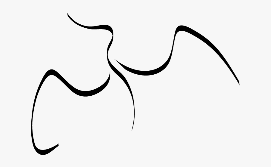 Los Cormoranes Son Una Familia De Aves Acuáticas Clipart, Transparent Clipart