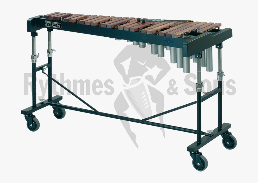 Transparent Xylophone Png - Percussion Instruments, Transparent Clipart
