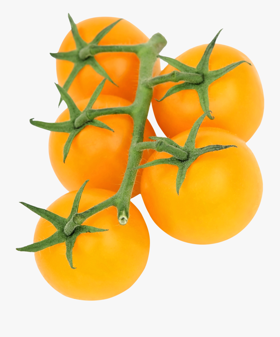 Yellow Png Image Purepng - Yellow Tomato Png, Transparent Clipart