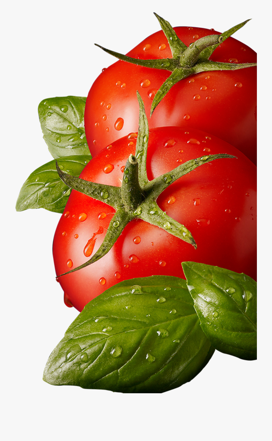 Tomato Png, Transparent Clipart