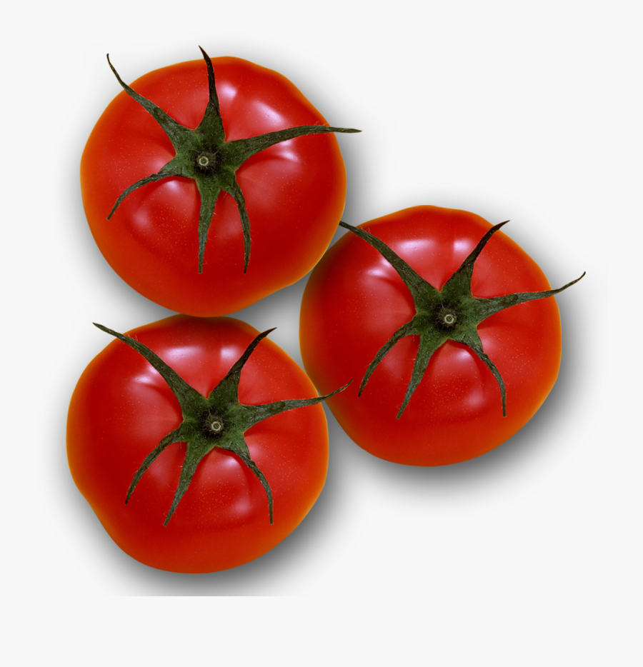 Plum Tomato Bush Tomato - Помидоры Вид Сверху Png, Transparent Clipart