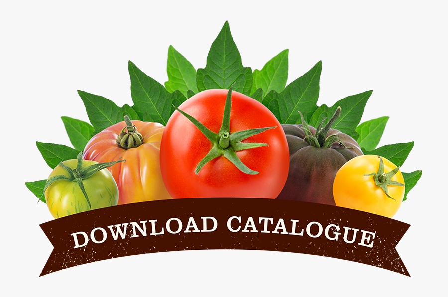 Sara Seager Starshade, Transparent Clipart