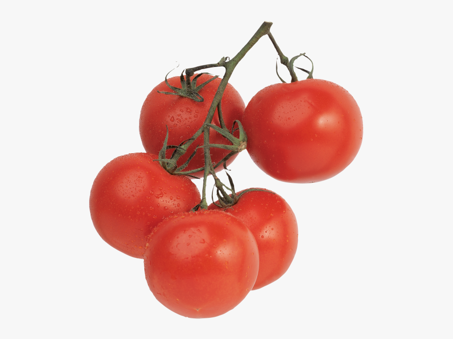 Transparent Tomato Png - Licopeno Png, Transparent Clipart