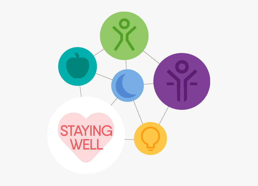 Circle, Transparent Clipart