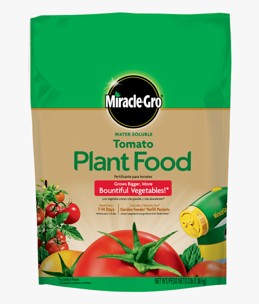Tomato Plant Png - Miracle Gro Tomato Food, Transparent Clipart