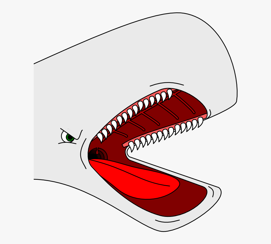 Stereotyped Cartoon Whale Head By Arek-91 On Clipart - Whale Head Cartoon, Transparent Clipart