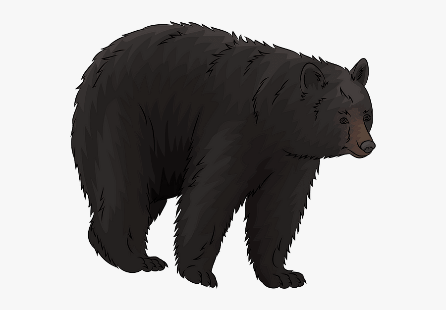 Black Bear Clipart, Transparent Clipart