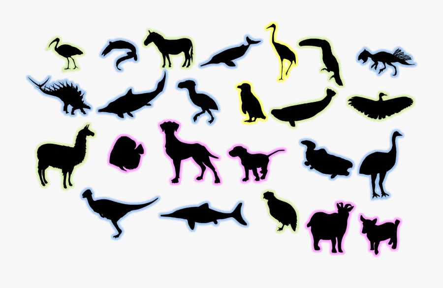 Boer - Goat - Outline - Llama Silhouette, Transparent Clipart