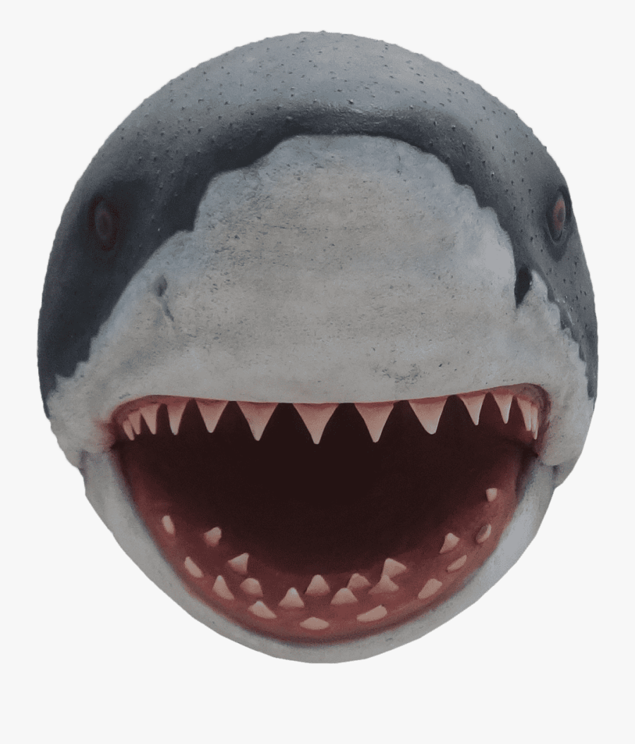 Shark Head Png - Shark Head Transparent Background, Transparent Clipart