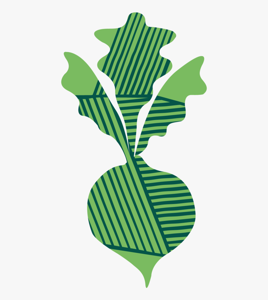 Turnip Clipart , Png Download, Transparent Clipart