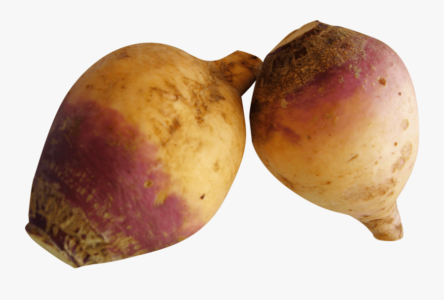 Rutabaga Turnip - Rutabaga Png, Transparent Clipart