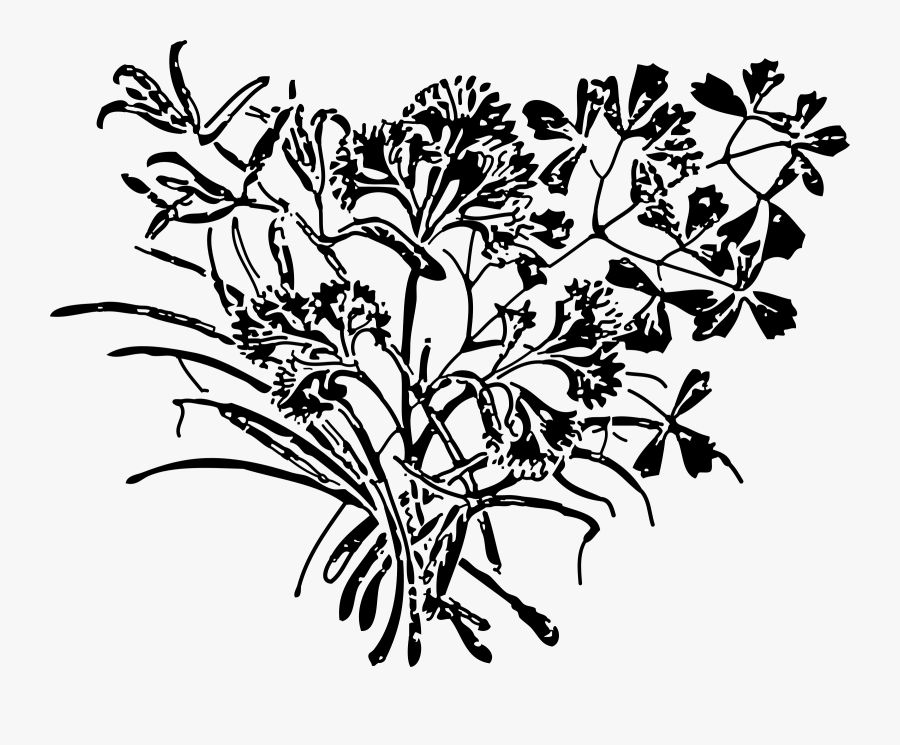 Clipart - Parsley, Transparent Clipart