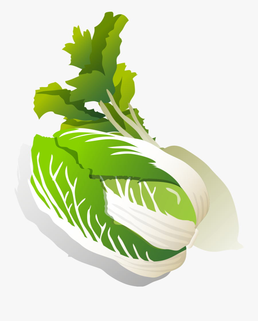 Transparent Hamantaschen Clipart - Chinese Cabbage, Transparent Clipart
