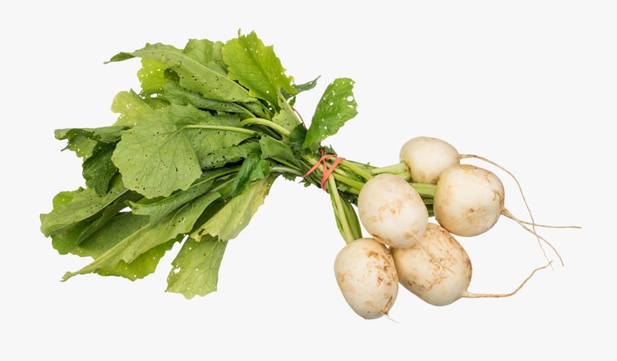 Turnips Png, Transparent Clipart
