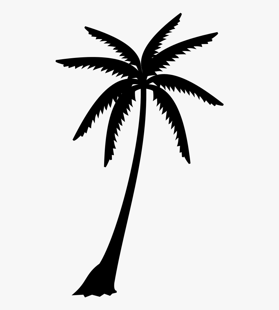 Palm Trees Black & White - Palm Tree Leaves Silhouette, Transparent Clipart