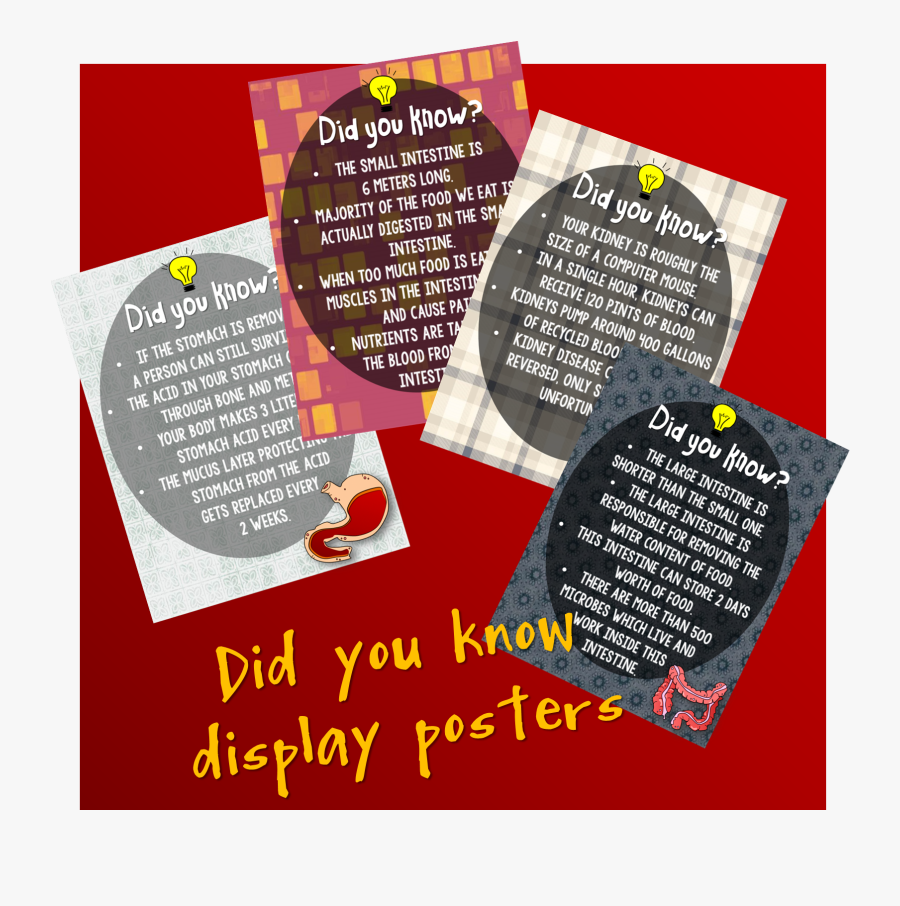 Brochure, Transparent Clipart