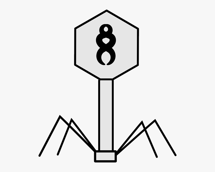 Virus, Bacteriophage, Science, Biology, Structure - Viruses Black And White, Transparent Clipart