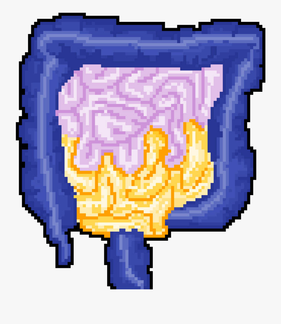 Transparent Intestines Png, Transparent Clipart