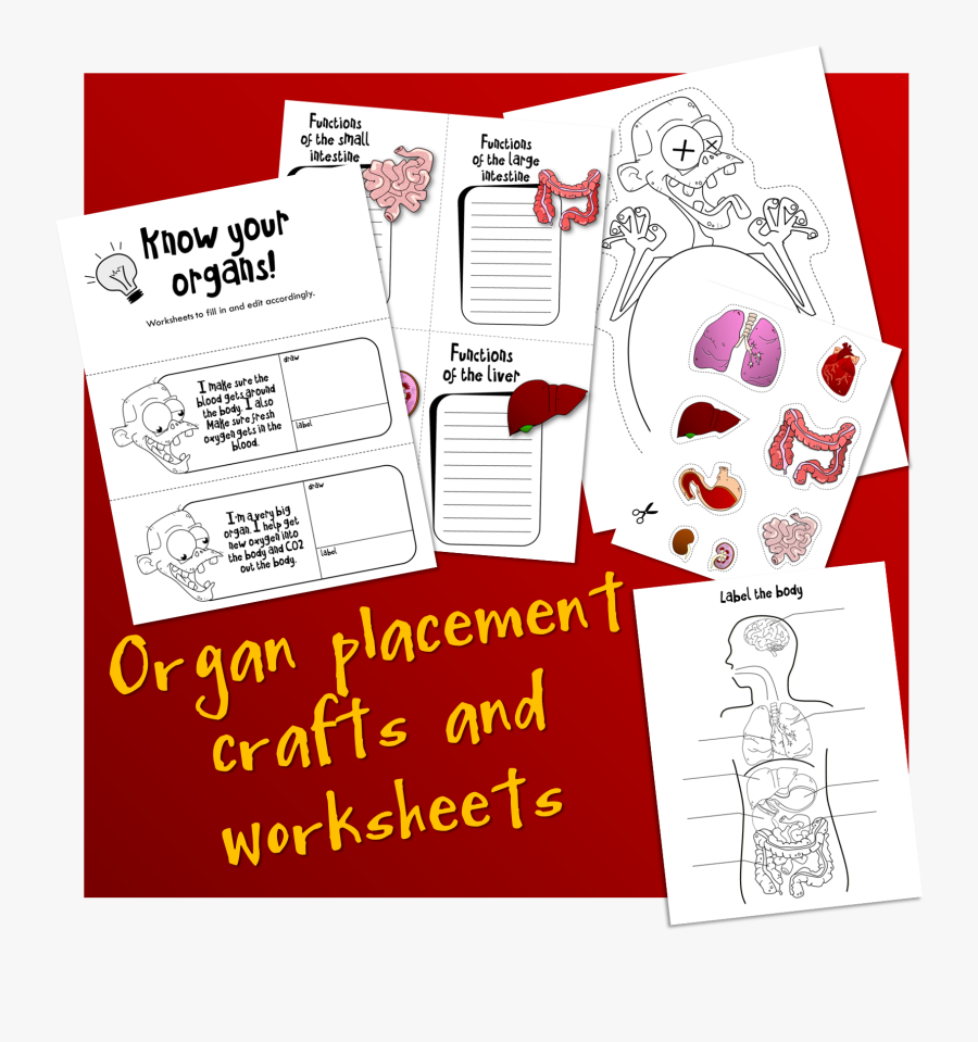 Paper, Transparent Clipart