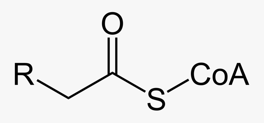 Lipid Metabolism Clipart - Ester Structure, Transparent Clipart