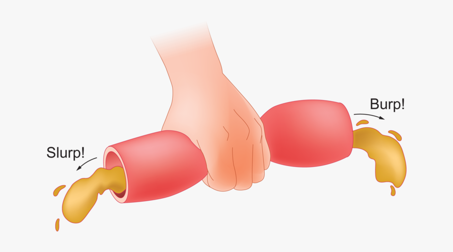 A Journey Through The, Transparent Clipart