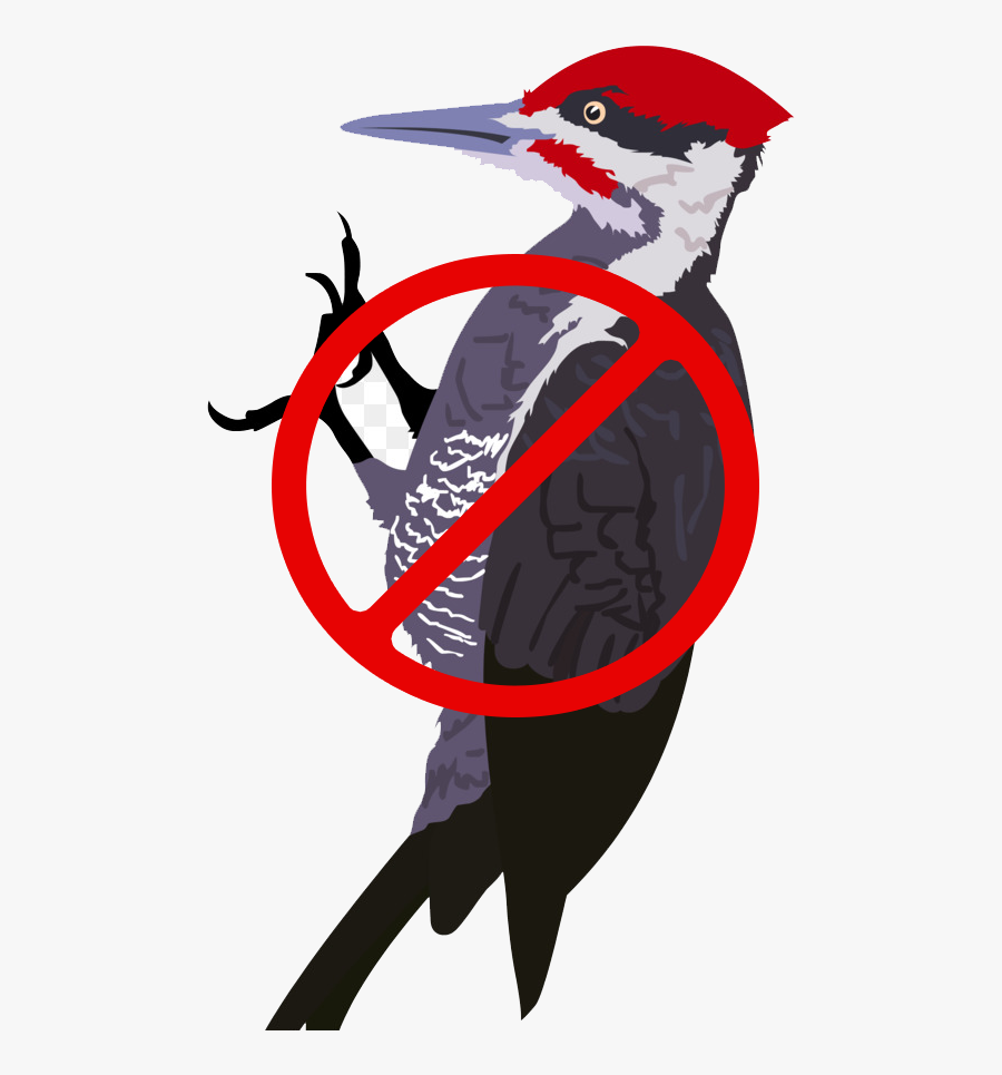 Which Are Mixed In A Proprietary Ratio To Produce The - Pileated Woodpecker Png, Transparent Clipart
