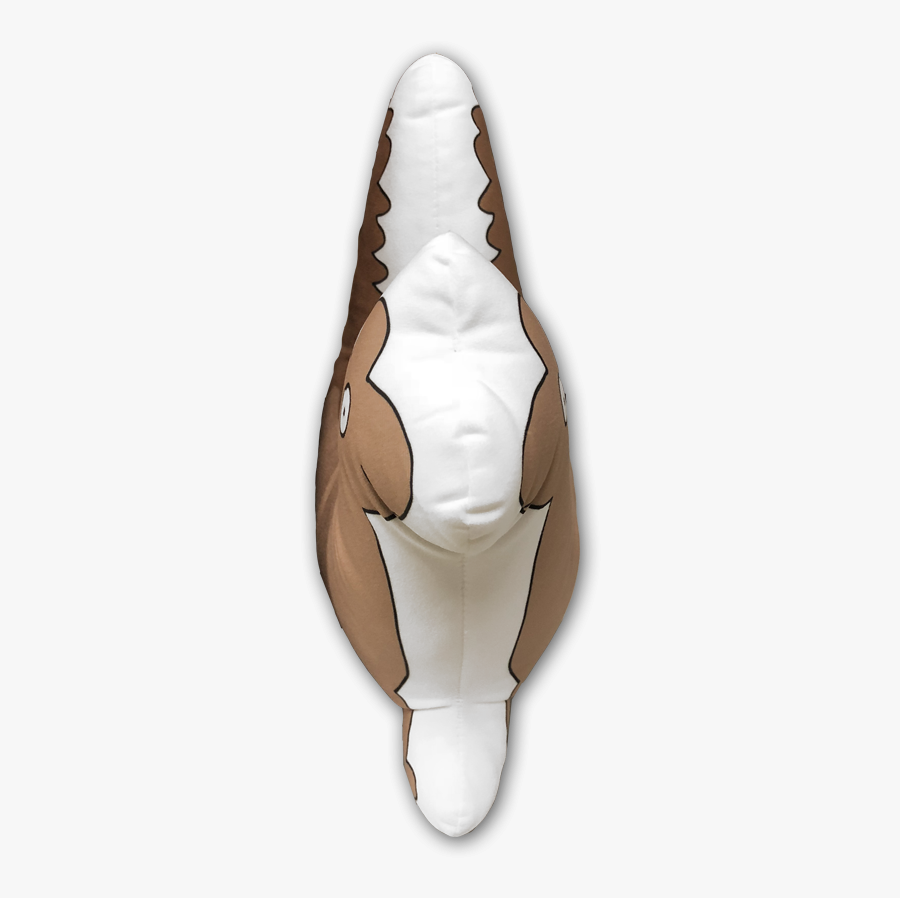 Killer Whale, Transparent Clipart