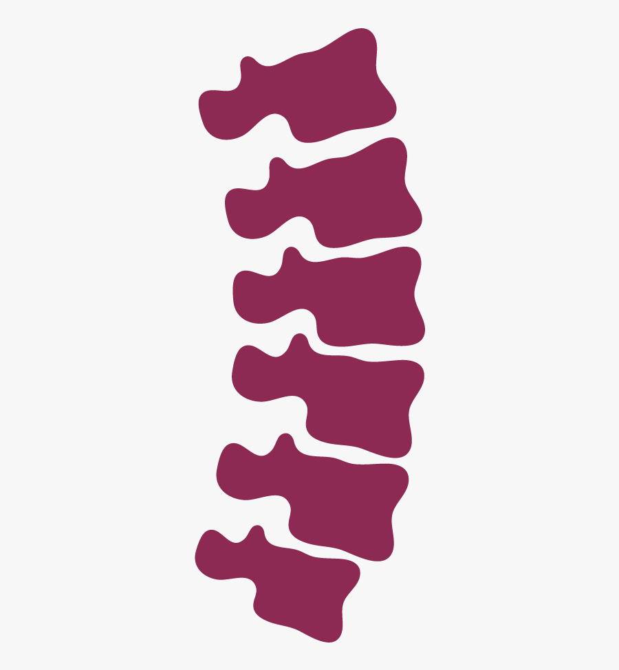Chiropractic Spine Frames Illustrations - Spinal Cord Injury Icon , Free Tr...