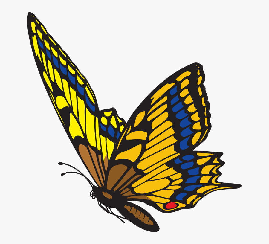 - Flying Butterfly Clipart Png Transparent Png , Png - ิ Butterfly Animated Gif, Transparent Clipart