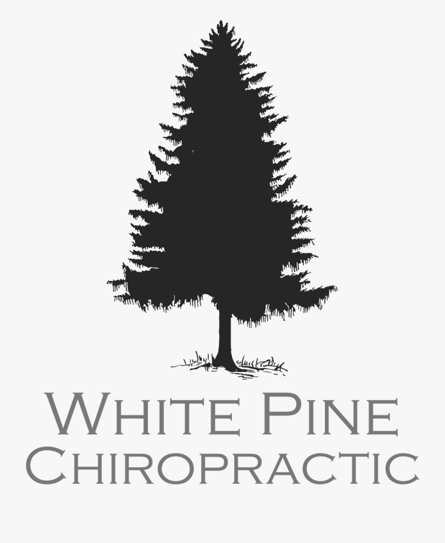 Evergreen Tree Silhouette, Transparent Clipart