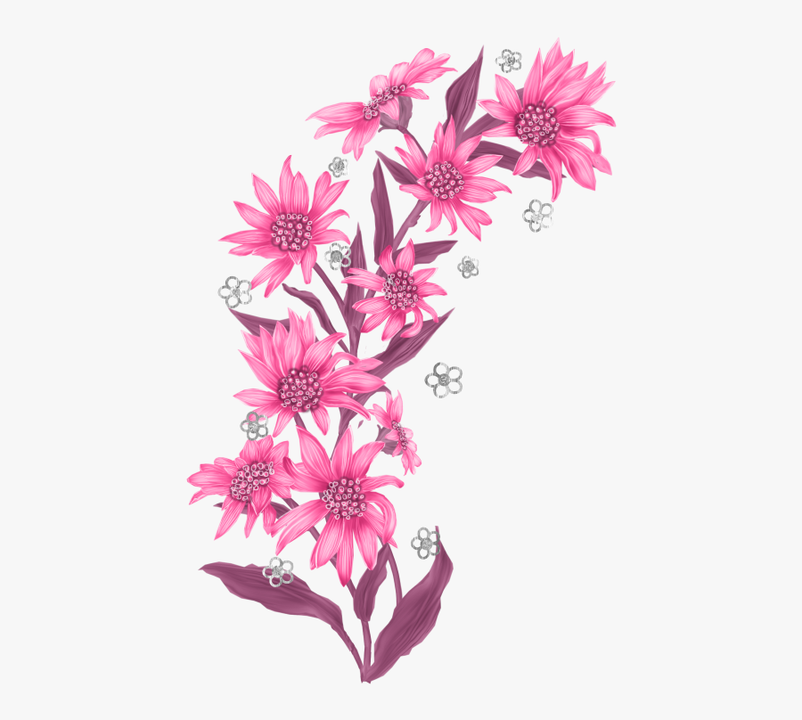 February 2016 « Archive - Edelweiss Flower Png, Transparent Clipart