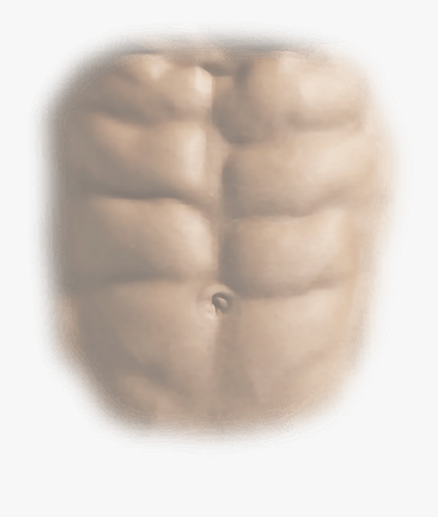 #abs - Six Pack Abs Png, Transparent Clipart