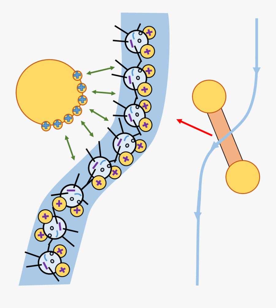 Clip Art, Transparent Clipart