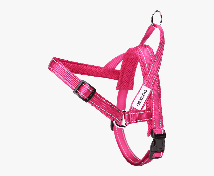 How To Fit Dog Harness - Strap, Transparent Clipart