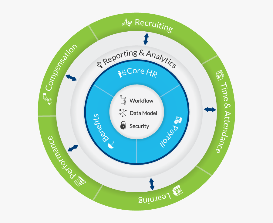 Graficas De Equidad De Genero, Transparent Clipart