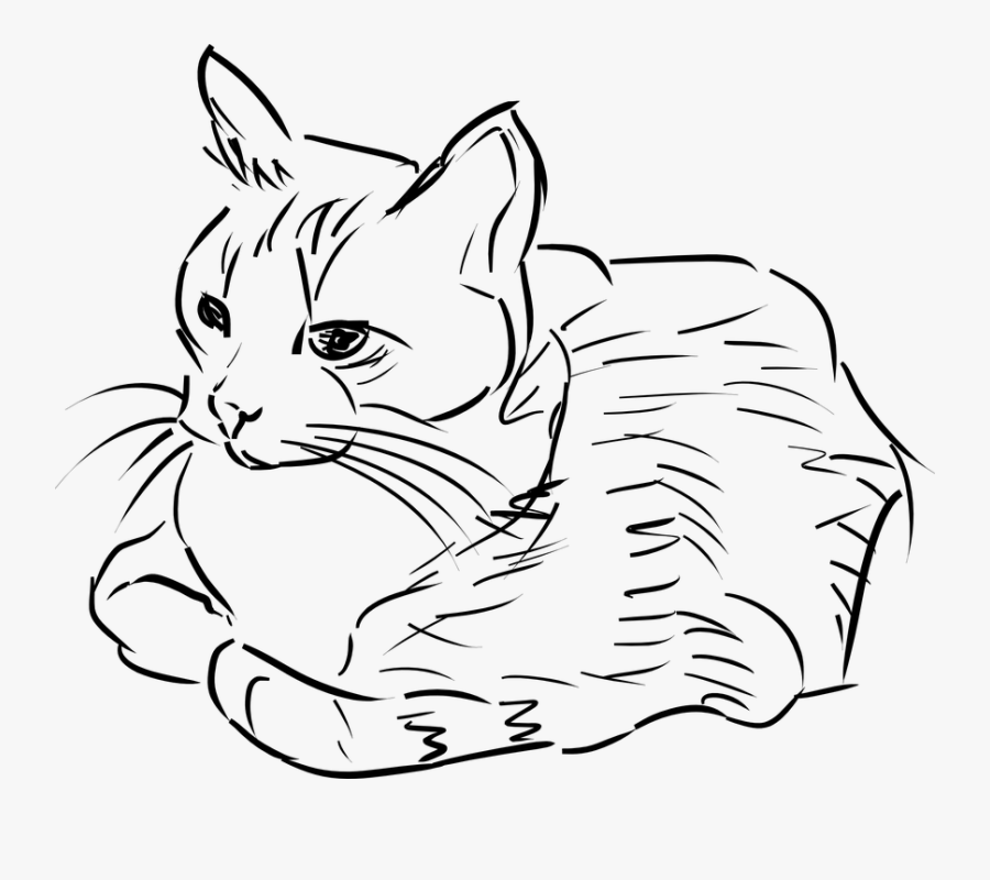 Cat, Feline, Animal, Pet - Cat Line Drawing Png, Transparent Clipart