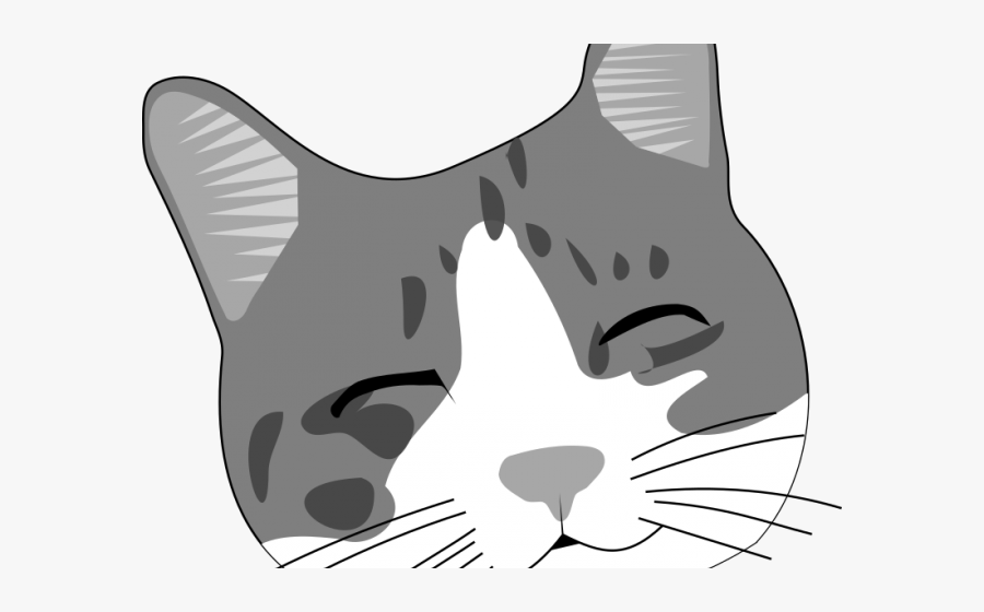 Cat Face Clipart - Cartoon Cat Face, Transparent Clipart
