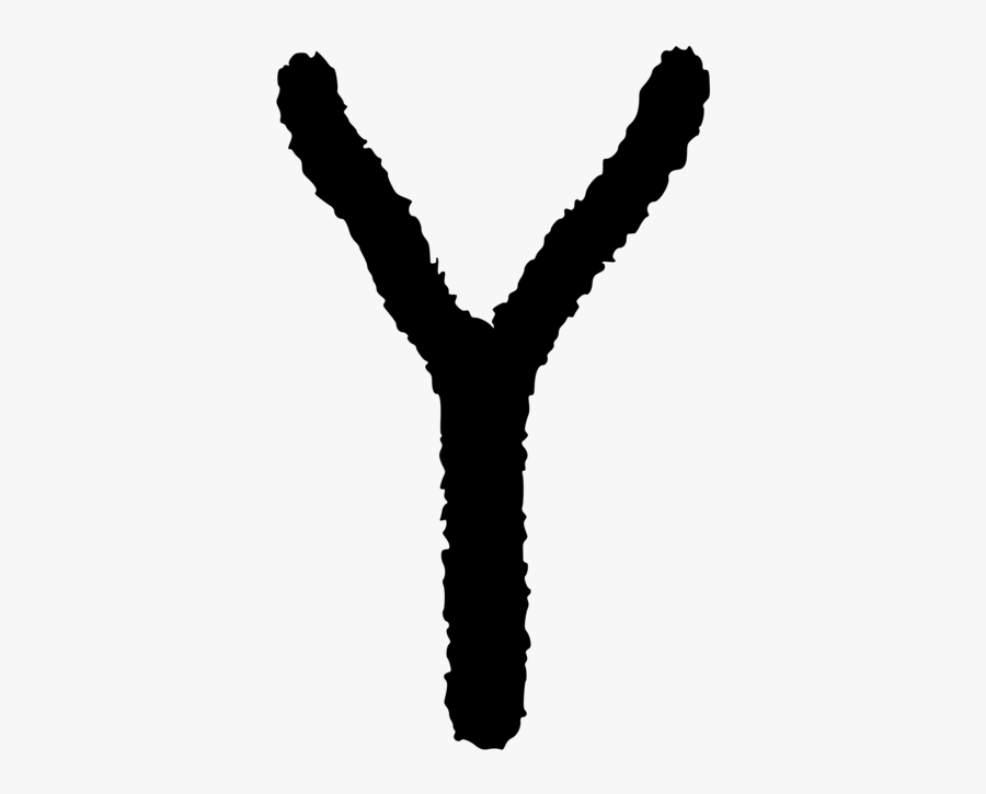 Tree,hand,finger - Bird, Transparent Clipart