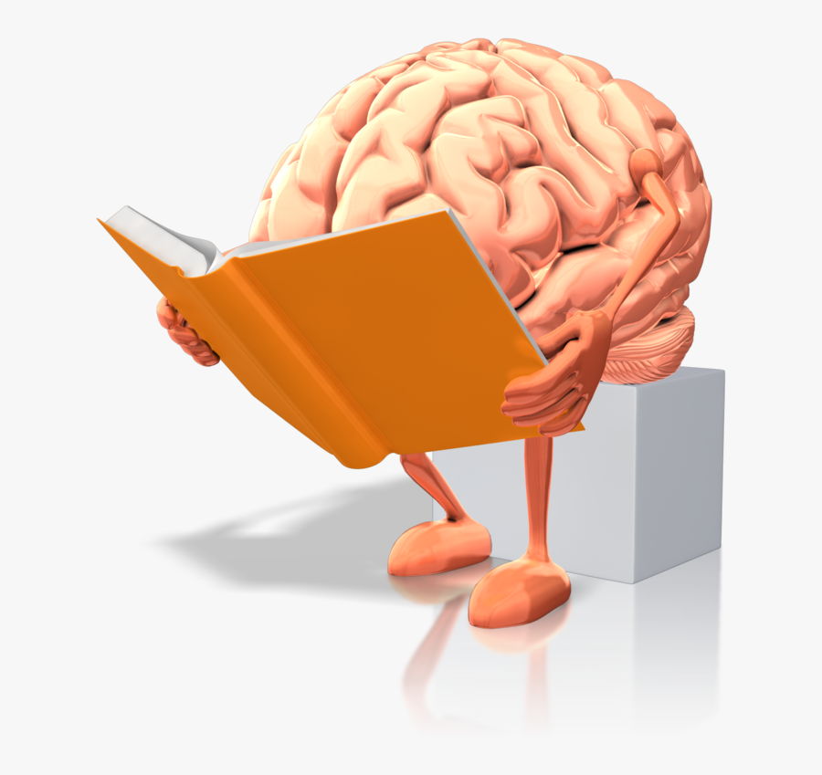 Doing Wso Research - Brain Reading A Book, Transparent Clipart