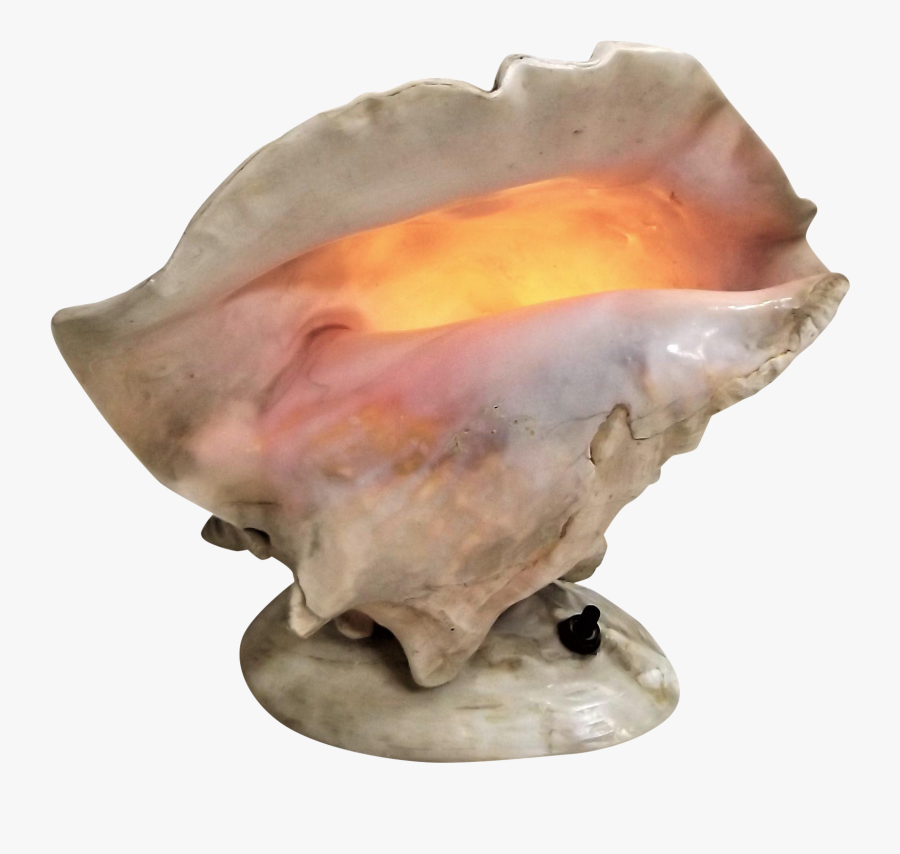 Transparent Seashells Png - Conch, Transparent Clipart