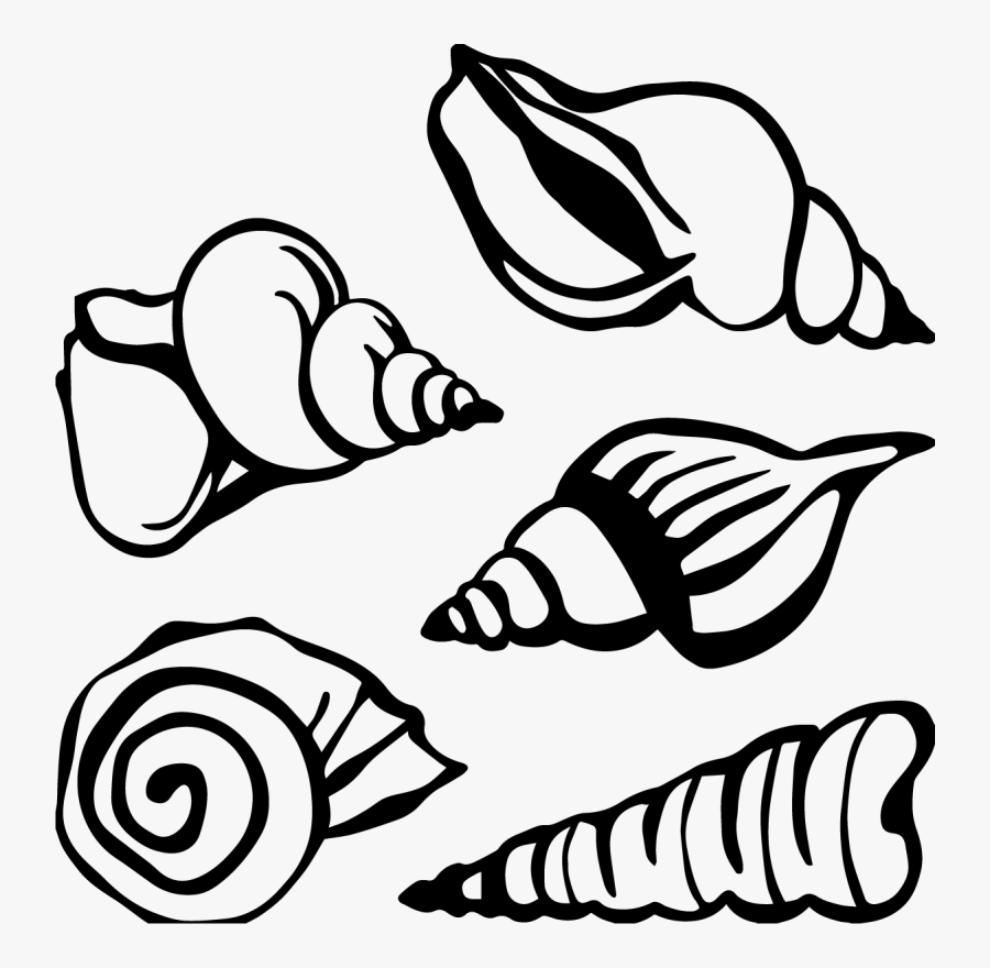 Stickers Coquillages Clipart , Png Download, Transparent Clipart