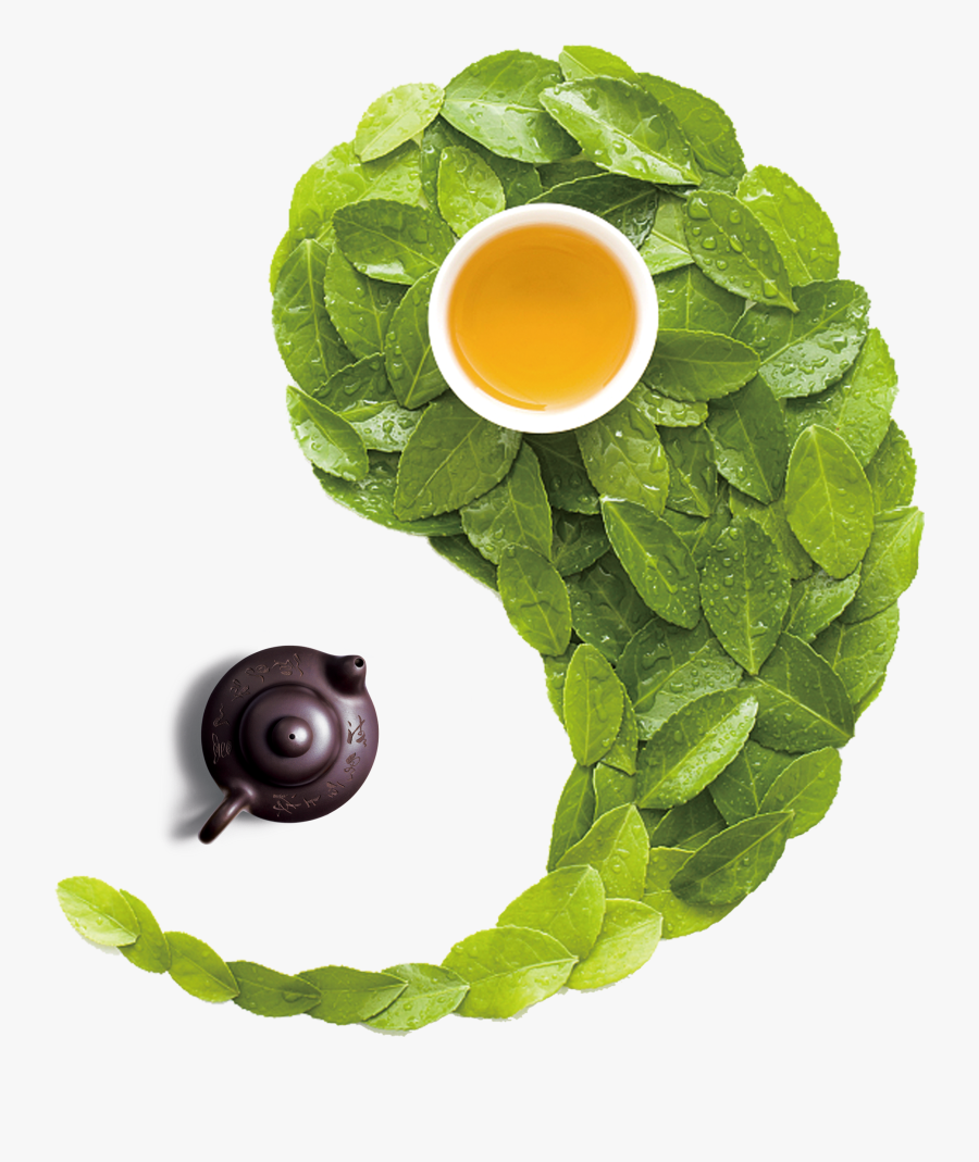 Green Tea Png Download - Áp Phích Về Thiền Trà, Transparent Clipart