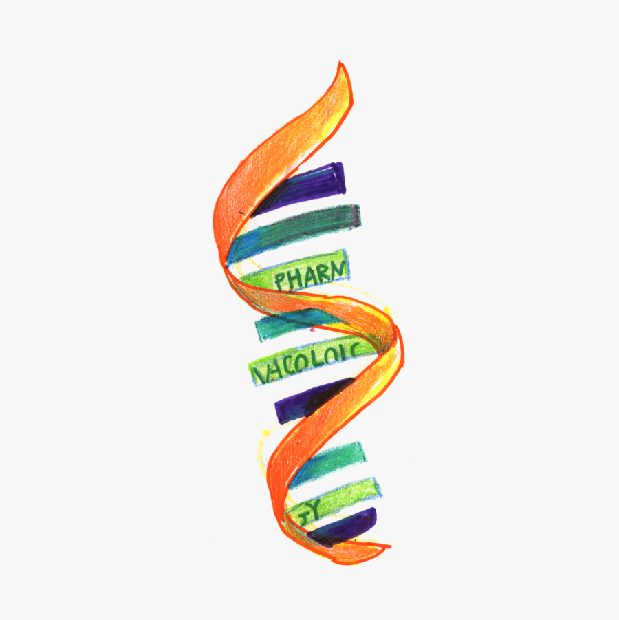 Orange, Transparent Clipart